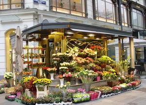 唐山花店爆料案件最新,揭开背后惊人真相 第2张 唐山花店爆料案件最新,揭开背后惊人真相 第2张